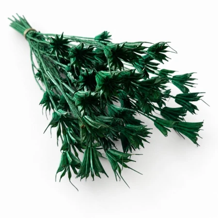Czarnuszka Nigella butelkowa zieleń.jpg