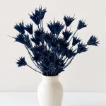 Czarnuszka Nigella suszona do dekoracji granatowa