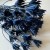 Nigella czarnuszka granatowa suszona.jpg