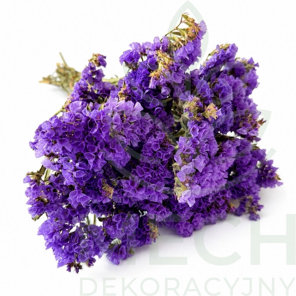 Fioletowy zatrwian.jpg