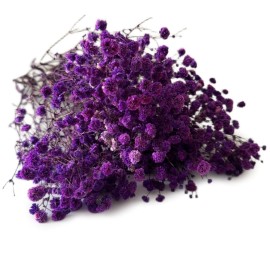 Przejdź do produktu Gipsówka stabilizowana | 100 g | fioletowa | PREMIUM