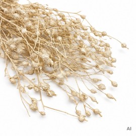 Przejdź do produktu Argentina stabilizowana suszona biała, gałązki do dekoracji
