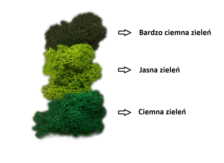 Kolory Chrobotka.png