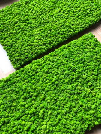 Panele z Chrobotka.jpg