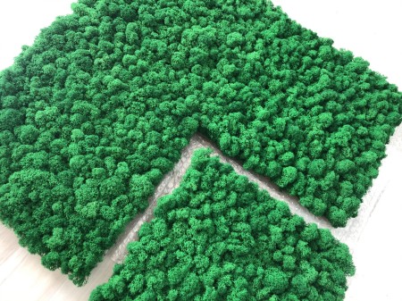 Panel z Chrobotka ciemnozielonego