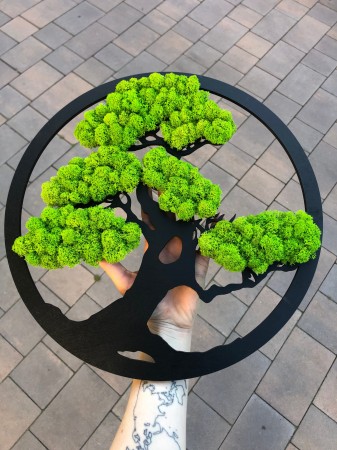 Drzewko z mchem czarne.jpg