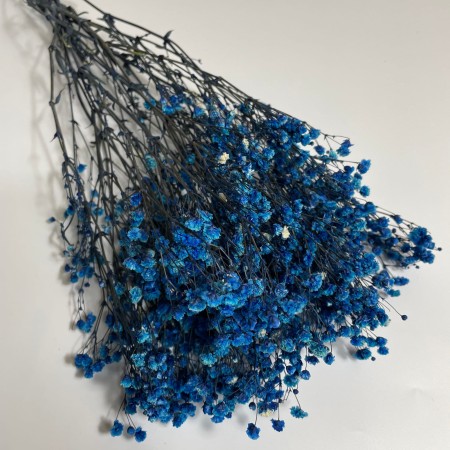 Gipsówka granatowa mała.jpg