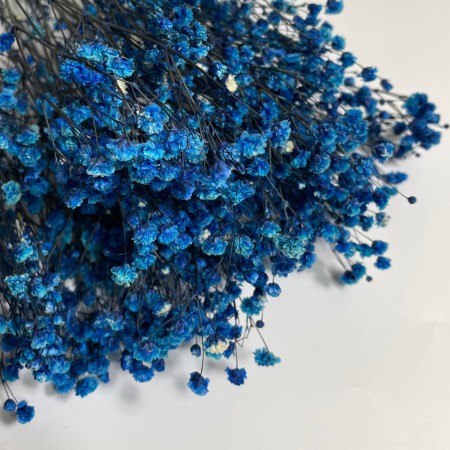 Gipsówka granatowa mała bukiet.jpg