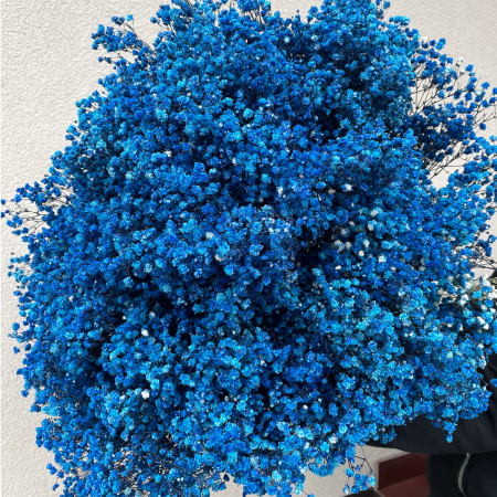 Gipsówka stabilizowana granatowa.png