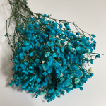 Gipsówka stabilizowana | 50 g | niebieska | PREMIUM