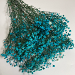 Gipsówka stabilizowana | 100 g | niebieska | PREMIUM