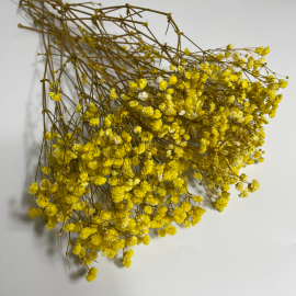 Przejdź do produktu Gipsówka stabilizowana | 50 g | żółta | PREMIUM