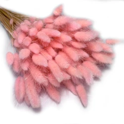 Dmuszek jajowaty (Lagurus) suszony | różowy | ok. 150 szt. | 60 cm