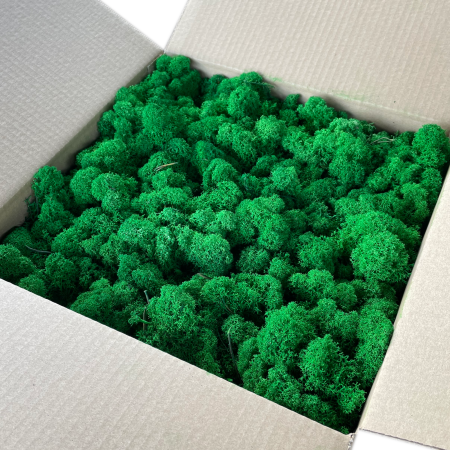 Mech Chrobotek Fiński ciemna zieleń w kartonie.png