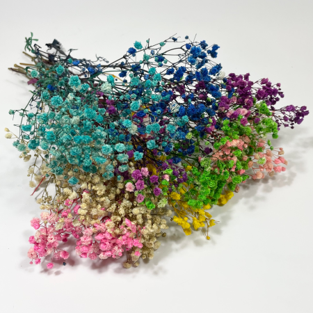 Stabilizowana gipsówka kolorowa.png