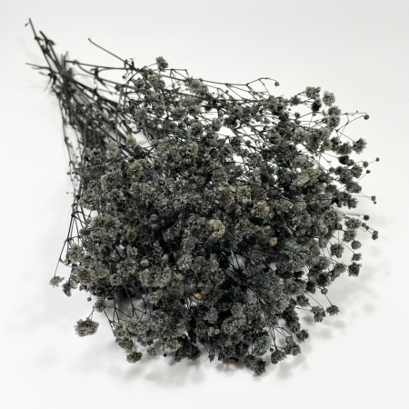 Stabilizowana gipsówka czarna.png