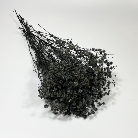 Gipsówka czarna stabilizowana bukiet.png