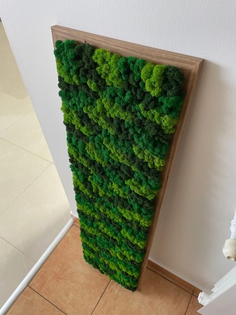 Obraz z mchu Chrobotka w 3 kolorach.jpg