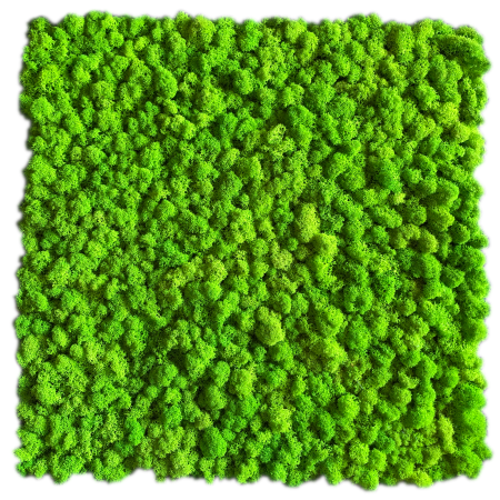 Panel z mchu chrobotka jasna zieleń.png