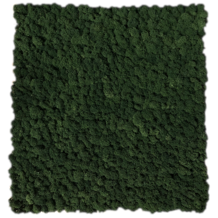 Panel z chrobotka bardzo ciemna zieleń.png