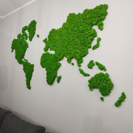 Mapa świata na ściane z chrobotkiem.png