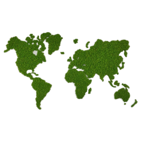 Mapa świata z chrobotka na ścianę.png