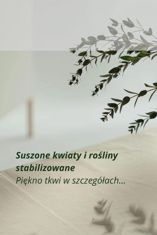 Suszone kwiaty do dekoracji