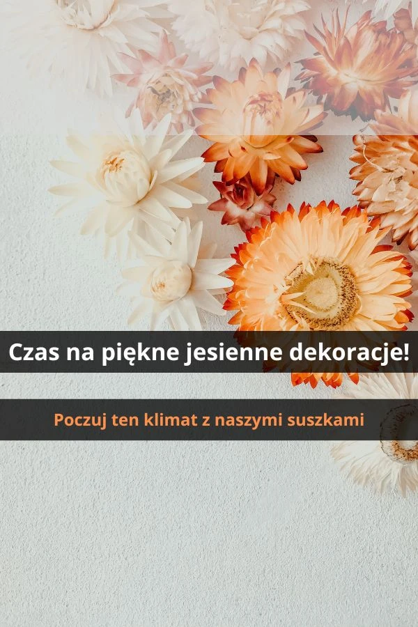 Suszone kwiaty do dekoracji